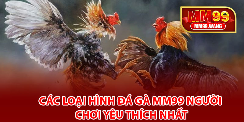 Các loại hình đá gà MM99 người chơi yêu thích nhất
